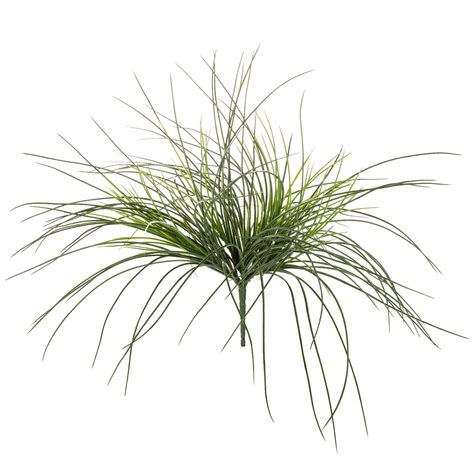 Hobby lobby monkey grass. Things To Know About Hobby lobby monkey grass. 